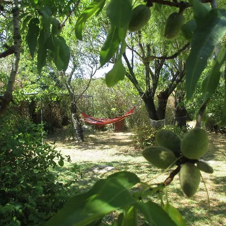 Harmony Holiday home Makrades
